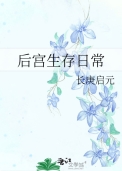 后宫生存日记2006年