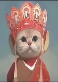 野鹤(H)