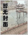 复仇之路(NP)